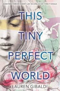 Blog Tour: This Tiny Perfect World – Review